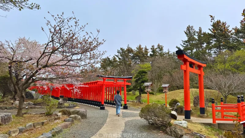 高山稲荷神社の千本鳥居の入り口